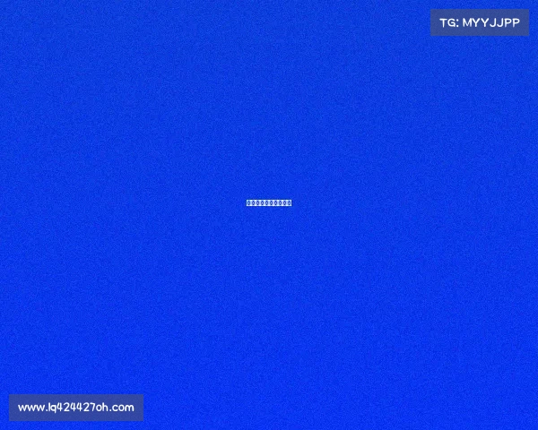 石家庄今日赛事有哪些